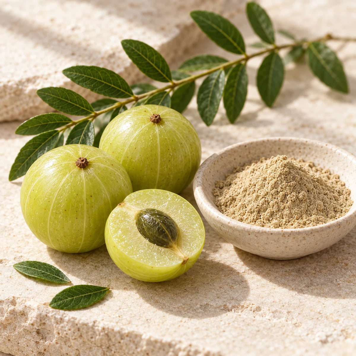 Bewegwohl Amla Daily — botanical
